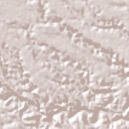 Carrillo Puerto Terrain Map