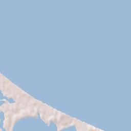 Arbolillo Terrain Map