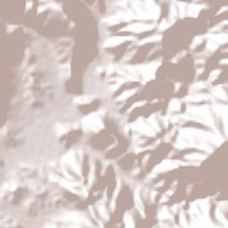 Coalcomán de Vázquez Pallares Terrain Map