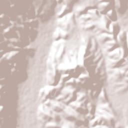 Ticumán Terrain Map