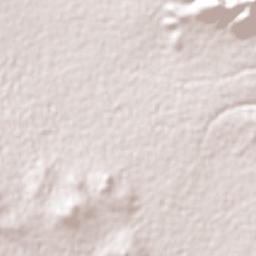 San Gabriel Tetzoyocán Terrain Map