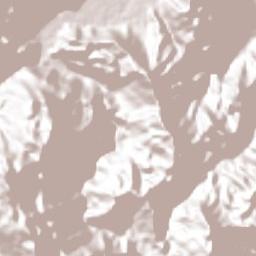 Rafael Delgado Terrain Map