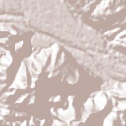 Coetzala Terrain Map