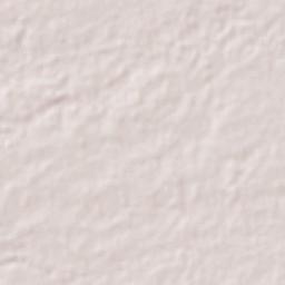 Piedras Negras Terrain Map
