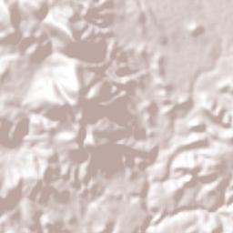 San Vicente de Juárez Terrain Map