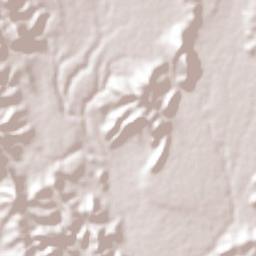 Tlapanalá Terrain Map