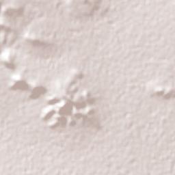 Tlacotepec Terrain Map