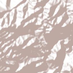 Xoxocotla Terrain Map