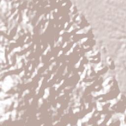 Presidio (Plan de Libres) Terrain Map