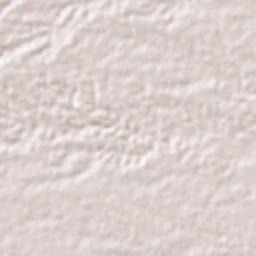 Huixcolotla Terrain Map