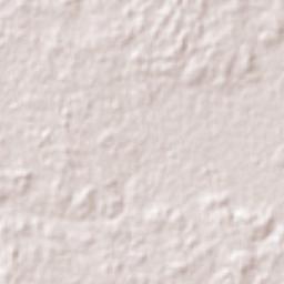 Escárcega Terrain Map