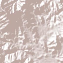 Las Cañas Terrain Map