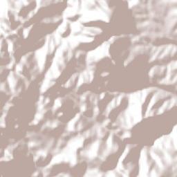 Acuitlapan Terrain Map