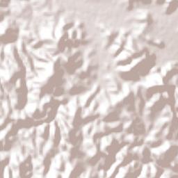 Zacapalco Terrain Map