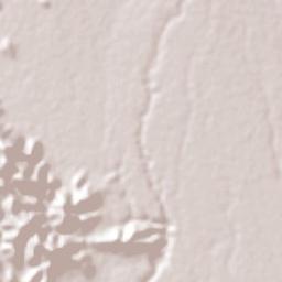 Tepalcingo Terrain Map