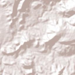 Coatzingo Terrain Map