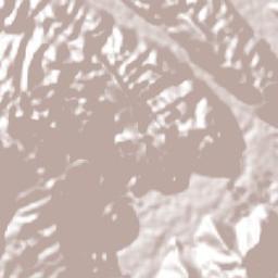 Tezonapa Terrain Map