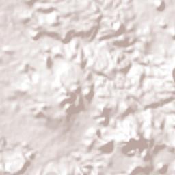 Tecolapan Terrain Map
