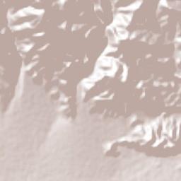 Neiba Terrain Map