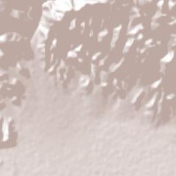 Galván Terrain Map