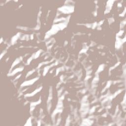 Tecalpulco Terrain Map