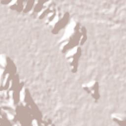 Vicente Camalote Terrain Map