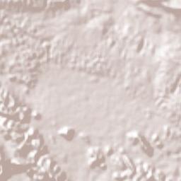 Bounty Hall Terrain Map