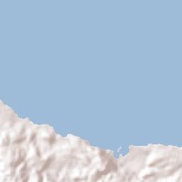 Ocho Rios Terrain Map