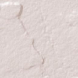 San Rafael del Yuma Terrain Map