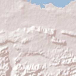Vega Alta Terrain Map