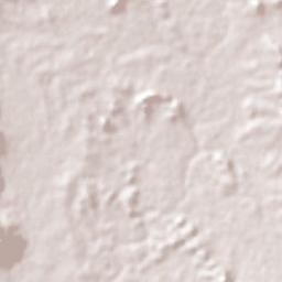 Cutzamala de Pinzón Terrain Map
