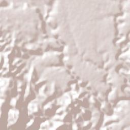 Tzicatlán Terrain Map