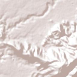 Buenavista de Benito Juárez Terrain Map