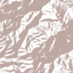 Chichicapa Terrain Map