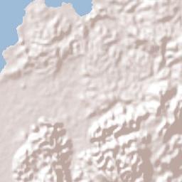 Logwood Terrain Map