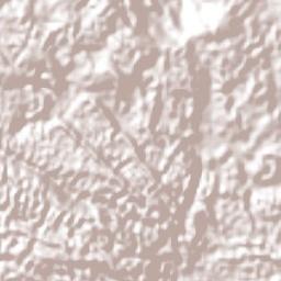 Claremont Terrain Map