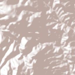 Coatepec Costales Terrain Map