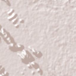 Rancho Grande Terrain Map