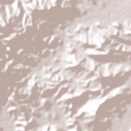 Ceiba Municipio Terrain Map