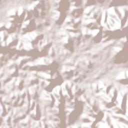 Coahuayutla de José María Izazaga Terrain Map
