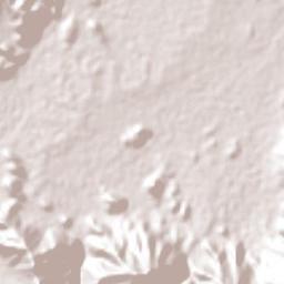 Amuco de la Reforma Terrain Map