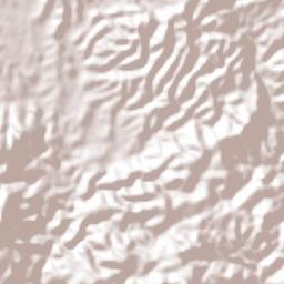 Chiautla de Tapia Terrain Map