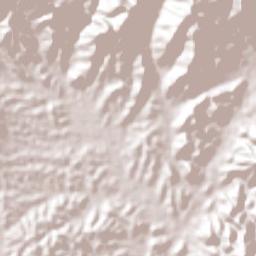 San Vicente Boquerón Terrain Map