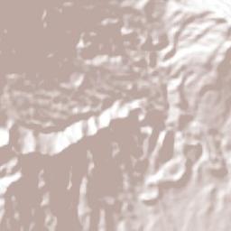 Tatahuicapan Terrain Map