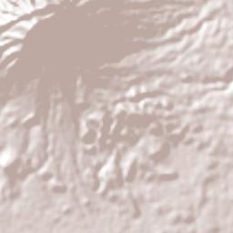 Pajapan Terrain Map