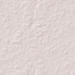 Occidente 4ta. Sección Terrain Map