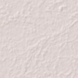 Nicolás Bravo 5ta. Sección (Punta Brava) Terrain Map