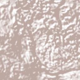 Brighton Terrain Map