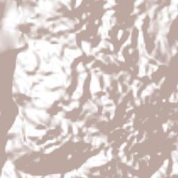 Santa Cruz de Juárez Terrain Map