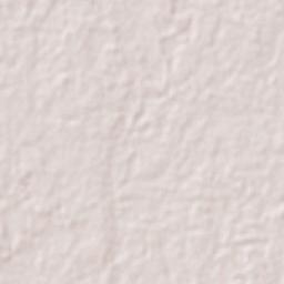 Orange Walk Terrain Map